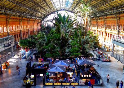 Atocha Train Station Garden